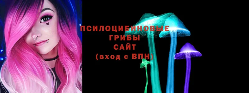 купить закладку  Каспийск  Галлюциногенные грибы Psilocybe 